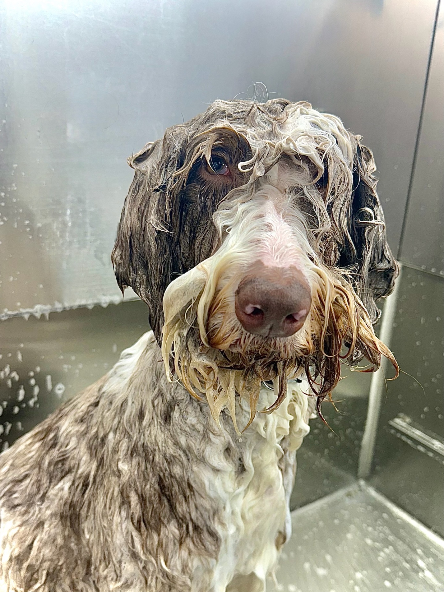 Image showcasing People Inc. - America's Largest Digital & Print Publisher